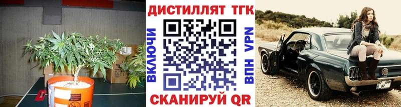 где найти   Котовск  ТГК THC oil 