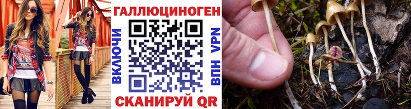 цена Котовск Псилоцибиновые грибы Cubensis